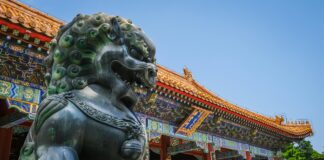 The Origins and Evolving Meaning of “龙” in Chinese Culture pexels magda ehlers pexels 2846034 scaled