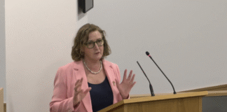 ‘Monstrous’ solar projects ‘taking over farmland’ 250611 solar