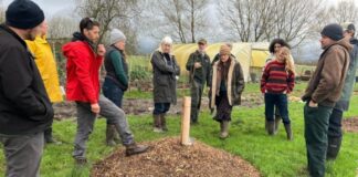 Elderberry growers’ co-operative idea “ready to go’’ if funding can be secured 6a234d9d069f485e8c191d56494c7fb3