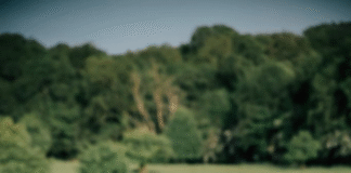 Unlock Flock Potential: Farming Connect adds new sheep workshop to training programme Farming Connect adds new sheep workshop to training programme (photo credit NADIS)