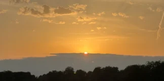 British Garden Centres’ Essential Guide To Drought Resilient Gardening In A Heatwave Summer sunset