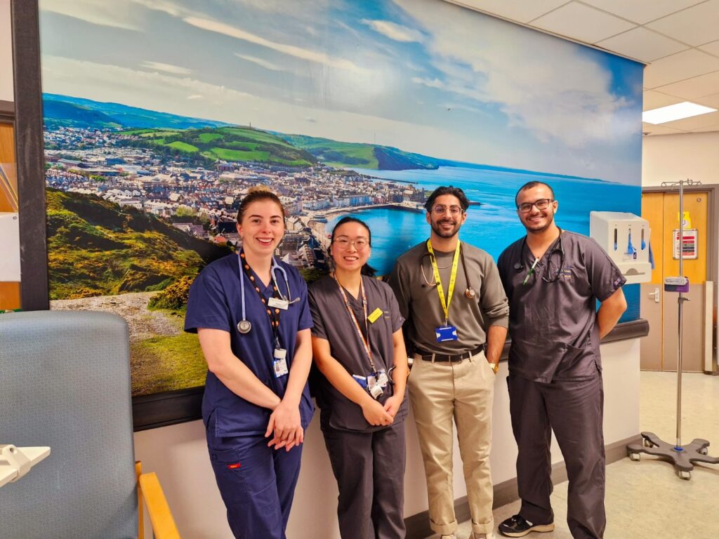 Wall art and screens for Ystwyth Ward