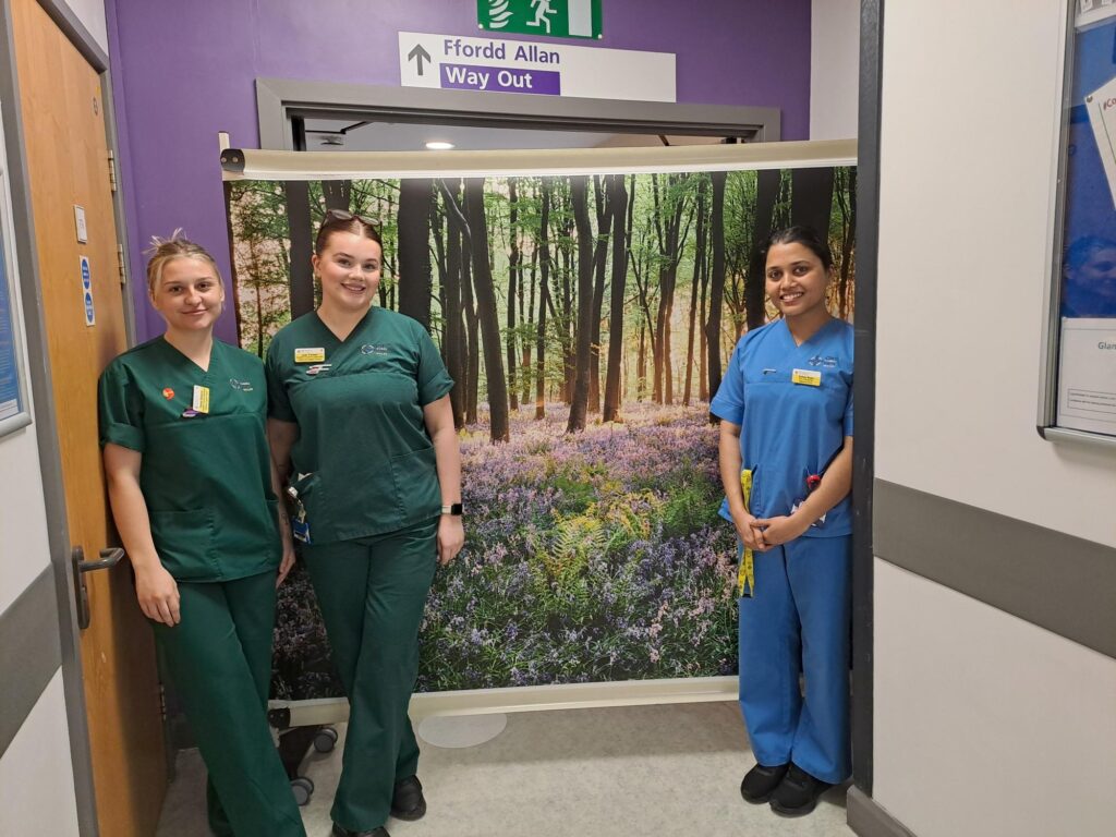 Wall art and screens for Ystwyth Ward 2