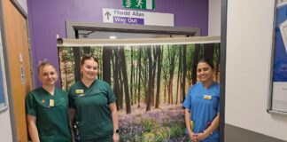 Celf wal newydd yn bywiogi ward strôc Bronglais Wall art and screens for Ystwyth Ward 2