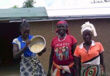 Letter To Editor Digital Camera