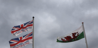 Carmarthenshire marks Armed Forces Week 2025 with pride armed forces day resize