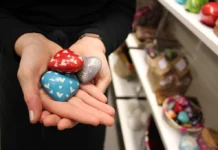 Manorbier School Summer Celebration: A Joyful Stand Against The Threat Of Closure heart 2365746 1280