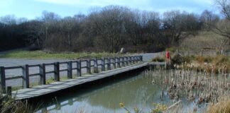 Ynysdawela Nature Park declared a local nature reserve image 1 resized