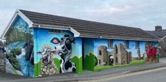 Our rural towns: Newcastle Emlyn img 2423