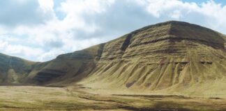 Carmarthenshire marks Clean Air Day with strong progress on Air Quality lfp01032 1