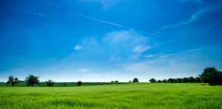 Top Active Days Out for Groups: Adrenaline-Fuelled Fun Across the UK pexels akos szabo 145938 440731