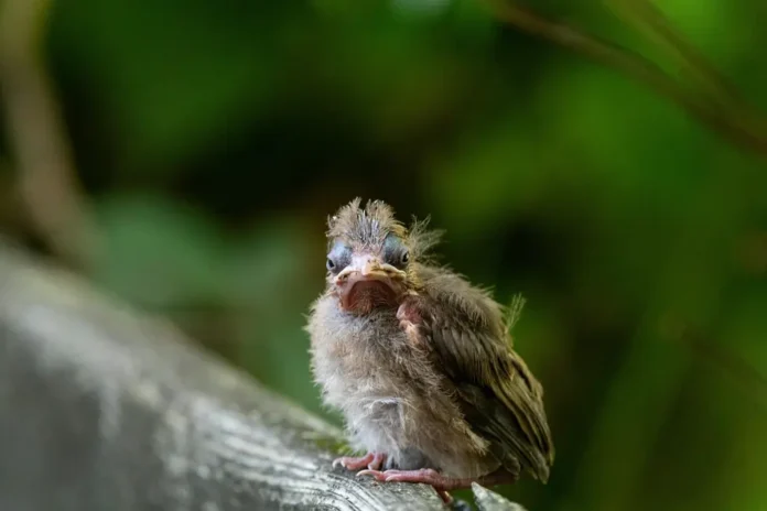 pexels jay brand 1763356224 32742753