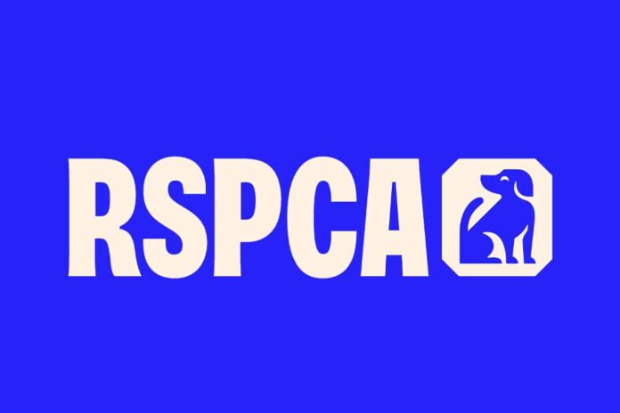 rspca dynamic logo 2024 3x2