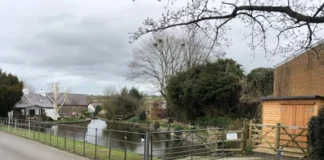 Pizza Shed Call st dogs shed 1