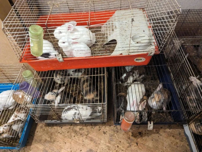 unnamed (4) unnamed (4)