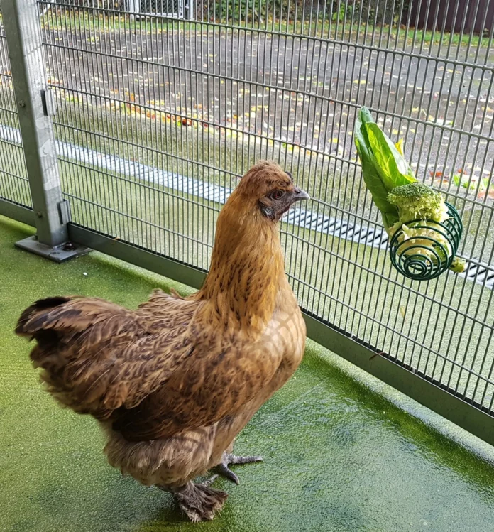 unnamed (5) unnamed (5)