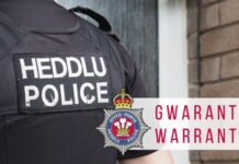 warrant bilingual