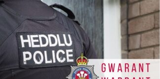 Man remanded in custody after police find cannabis plants worth up to £242,000 in derelict Cardigan home warrant bilingual