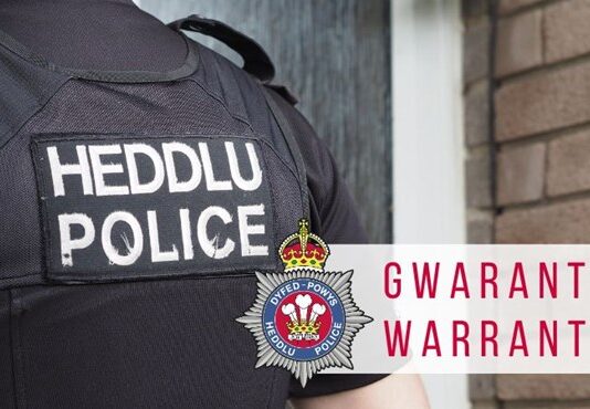 Man remanded in custody after police find cannabis plants worth up to £242,000 in derelict Cardigan home warrant bilingual