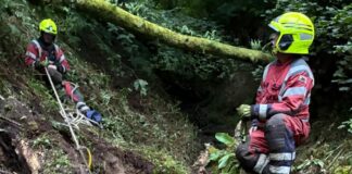 Firefighters Rescue Trapped Cow in Talog Talog Cow Rescue 03