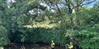 Firefighters Rescue Calf from River in Whitland Whitland Calf Rescue 02