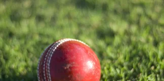 Call To ‘Future-Proof’ Successful Club cricket ball