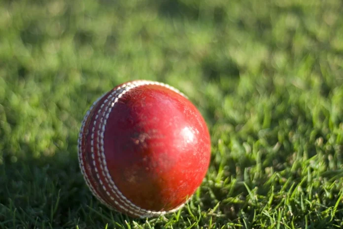 cricket ball