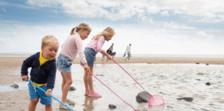Carmarthenshire gears up for a Summer of family fun as school holidays begin newsroom 9
