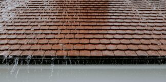 The Top 3 Dangers of Neglecting Your Gutter System pexels adrien olichon 1257089 2663254 (1)