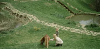 Best Farm Parks In The UK pexels anastasia shuraeva 7671278