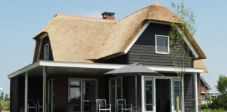 Thatch Management: When It Helps, When It Hurts, and How to Maintain the Right Balance pexels atomlaborblog 1105754