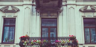 British Garden Centres’ Guide To Getting Started With Balcony Gardening pexels dom j 7304 297497