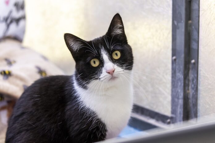 unnamed (1) unnamed (1)