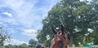 Remarkable One-Eyed Former Racehorse Aiming For Glory An Cathaoir & Victoria Bertorelli will be competing at The Jockey Club RoR National Championships 2