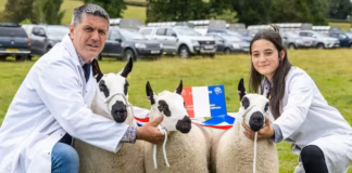 Organisers delighted with record breaking Llanfyllin Show Stuart Lane best group