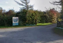 Expansion Plans For Glamping Farm Which Will Hold Festivals dewslake g s