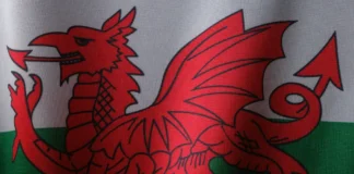 Local Councils & Charities Urged To Help More People Get Online With £9.5 Million Government Fund pexels enginakyurt 15483706