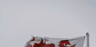 Welsh Parliament Rejects Autism Bill Petition – Leading Campaigner Takes Fight Public pexels photo 17428267