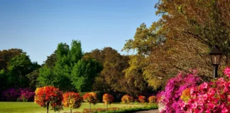 The 9 Garden Transformations That Make Buyers Fall In Love pexels pixabay 158028