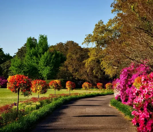 The 9 Garden Transformations That Make Buyers Fall In Love pexels pixabay 158028