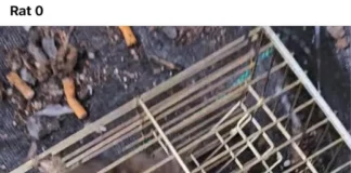 RSPCA Has Received 25 Reports Of Animal Cruelty Every Month On Social unnamed (6)