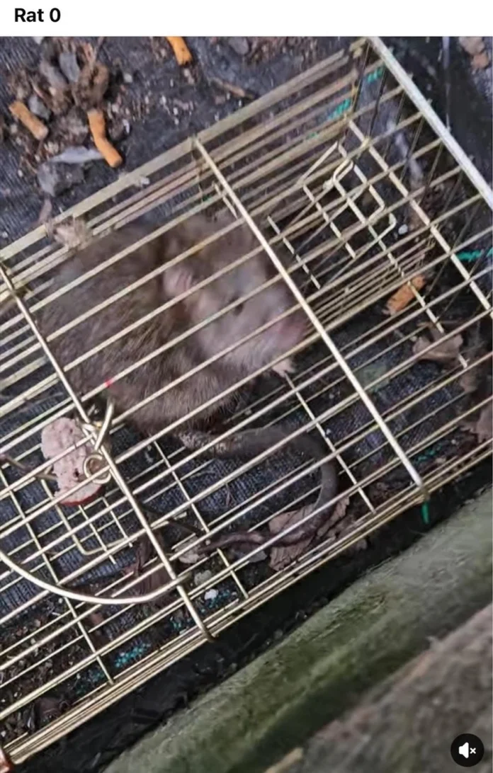 unnamed (6) unnamed (6)