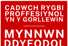 Achub y Scarlets: Aelodau etholedig yn mynegi “gwrthwynebiad sylfaenol” i gynlluniau Undeb Rygbi Cymru Taflen CYM