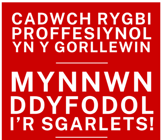 Achub y Scarlets: Aelodau etholedig yn mynegi “gwrthwynebiad sylfaenol” i gynlluniau Undeb Rygbi Cymru Taflen CYM