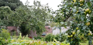 Applications Now Open For Welsh Government Community Facilities Programme Walled garden main entrance