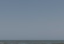 The RNLI And Canine Behaviourist Share How To Keep Your Dog Safe By The Coast This Autumn pexels miami302 17550641