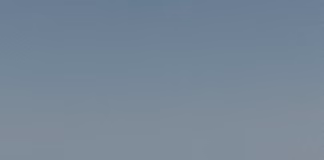 The RNLI And Canine Behaviourist Share How To Keep Your Dog Safe By The Coast This Autumn pexels miami302 17550641