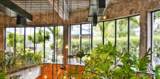 Turn Your Urban Garden Into A Wildlife Sanctuary pexels sdas 974400