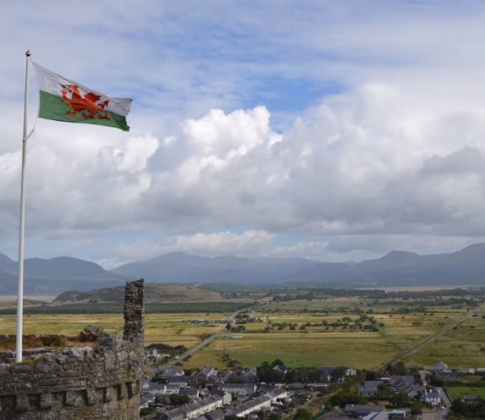 Loving Wales welsh flag
