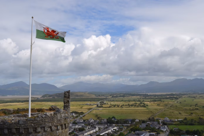welsh flag
